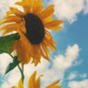 Meet your Posher, Celine